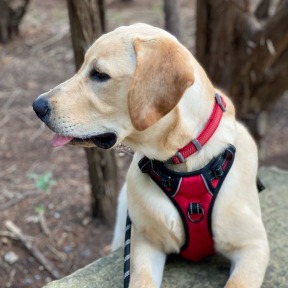 Meet your Posher, Jenny - Picture 4 of 10